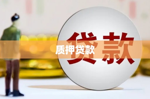 武强质押贷款