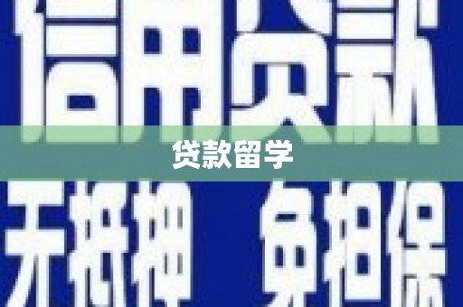 武强贷款留学
