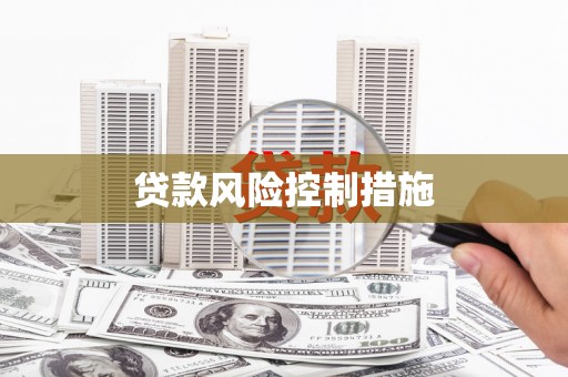 武强贷款风险控制措施